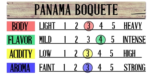 Panama Boquete Fresh Coffee Beans 